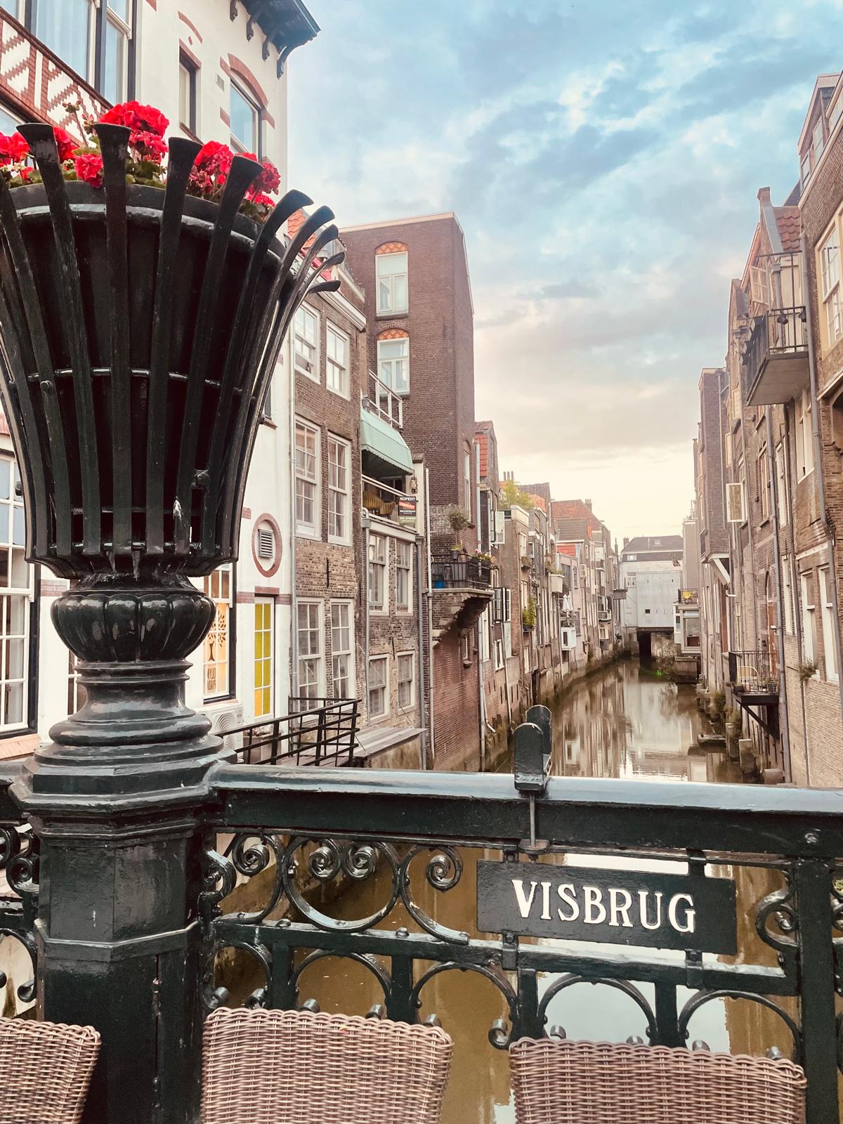 A Dordrecht canal at dusk framed by the ornate Visbrug bridge railing, tall Dutch houses leaning over still water, pink sky.