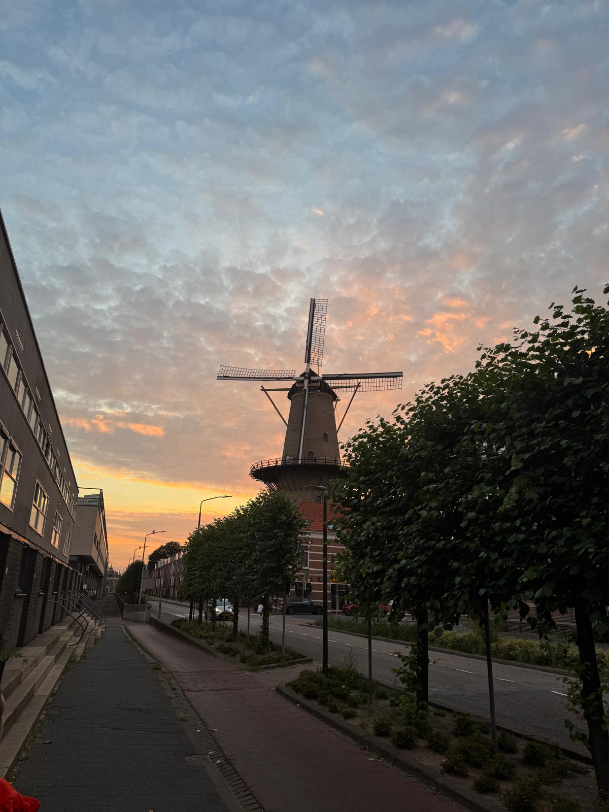 A large brick tower windmill silhouetted against a flaming pink-and-orange sunset on a Dordrecht street.
